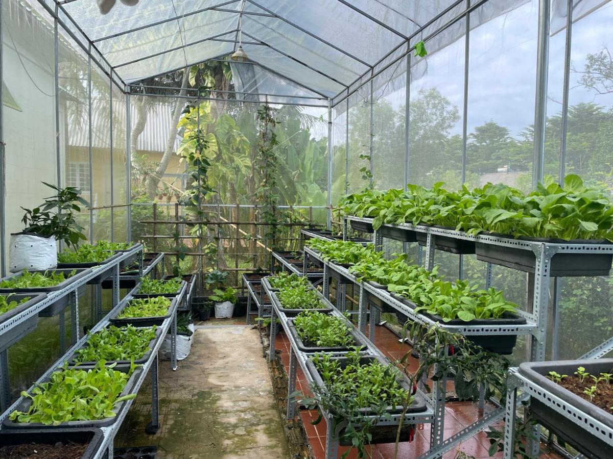 Apartamento Tropical Garden Phu Quoc Exterior foto